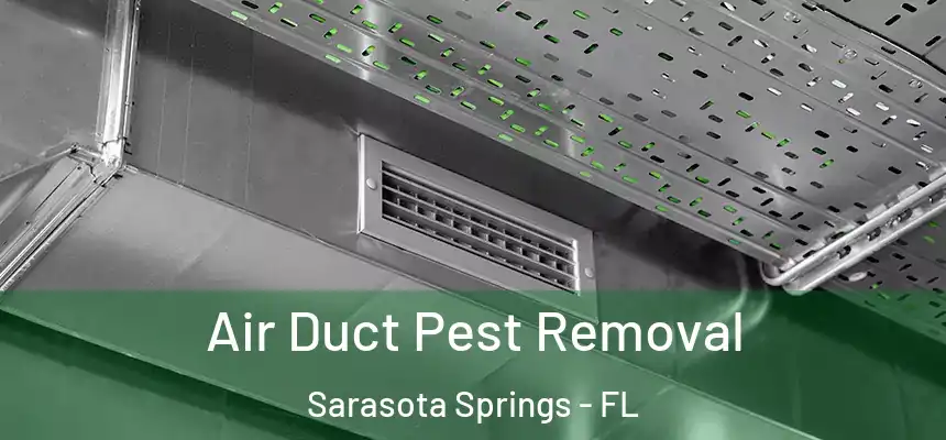  Air Duct Pest Removal Sarasota Springs - FL