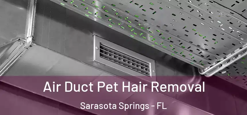 Air Duct Pet Hair Removal Sarasota Springs - FL