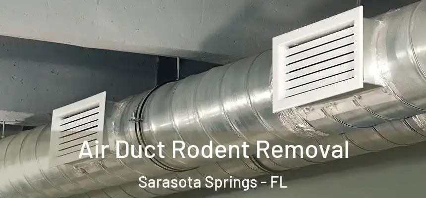  Air Duct Rodent Removal Sarasota Springs - FL