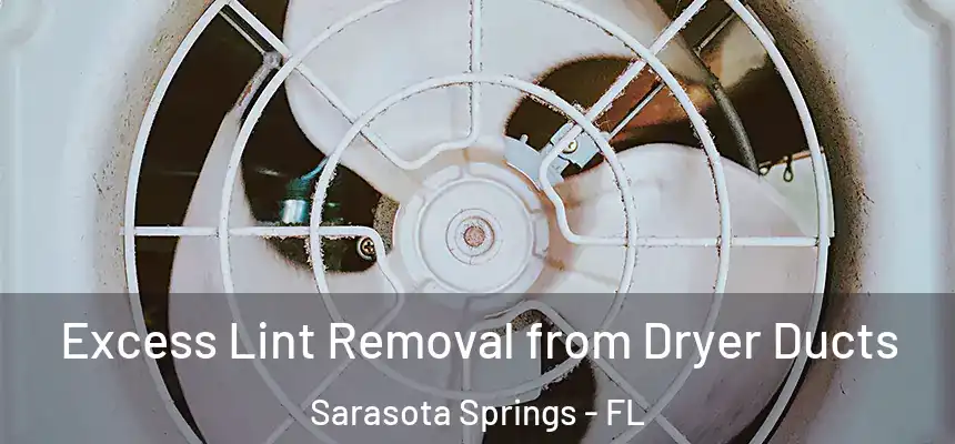 Excess Lint Removal from Dryer Ducts Sarasota Springs - FL