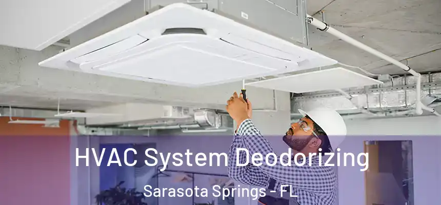 HVAC System Deodorizing Sarasota Springs - FL