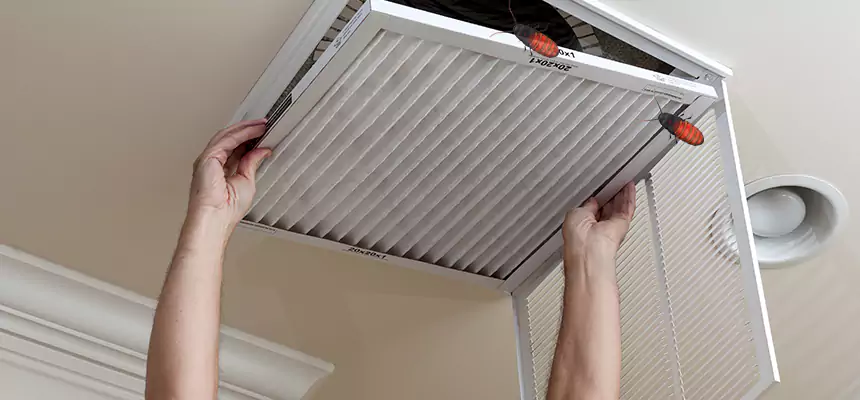 Our Insect Removal from Air Ducts Services in Sarasota Springs, FL