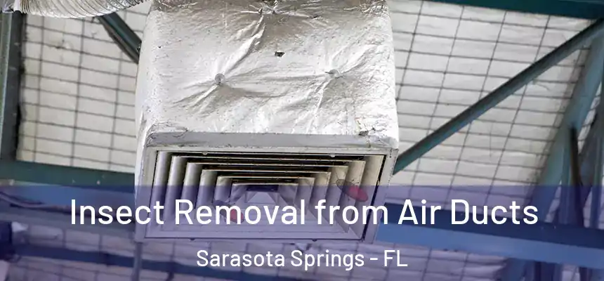 Insect Removal from Air Ducts Sarasota Springs - FL