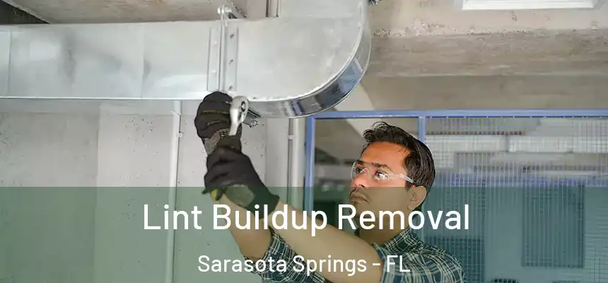 Lint Buildup Removal Sarasota Springs - FL