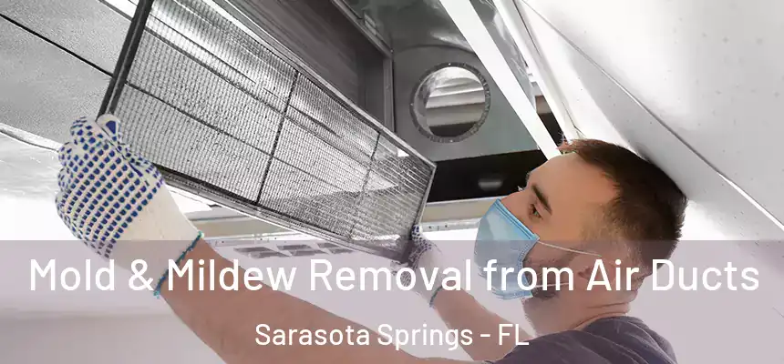 Mold & Mildew Removal from Air Ducts Sarasota Springs - FL