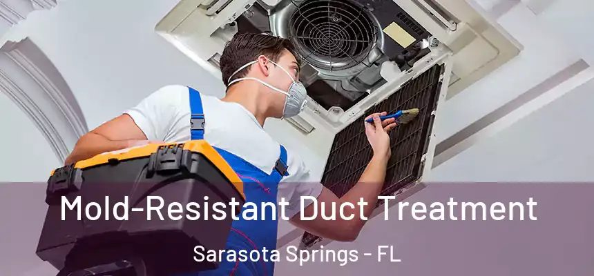  Mold-Resistant Duct Treatment Sarasota Springs - FL