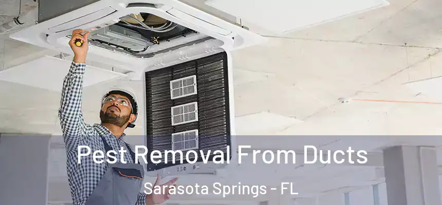 Pest Removal From Ducts Sarasota Springs - FL