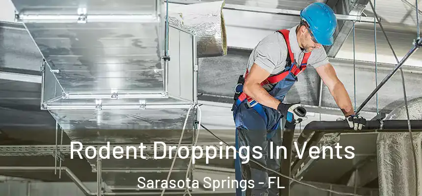Rodent Droppings In Vents Sarasota Springs - FL