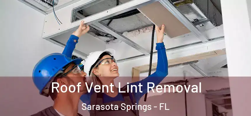 Roof Vent Lint Removal Sarasota Springs - FL