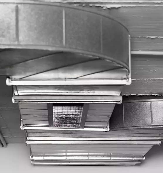 Professional Air Duct Pest Removal in Sarasota Springs, FL