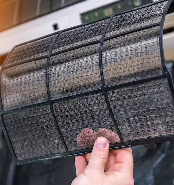 About Pet Dander Duct Cleaning in Sarasota Springs, FL